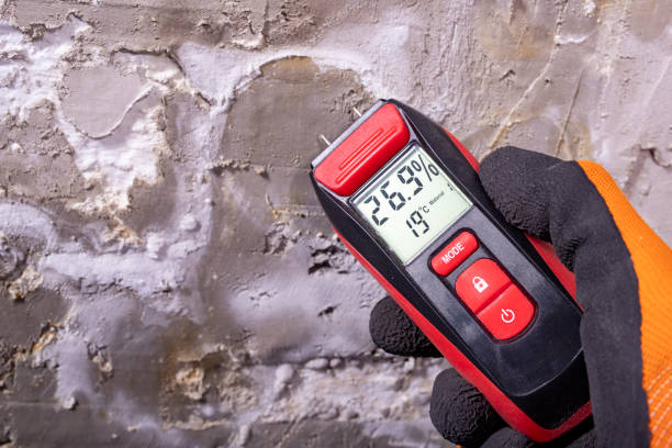 Best Water Damage Restoration  in Bohemia, NY
