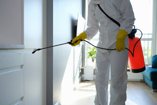 Water Damage Restoration in Bohemia, NY