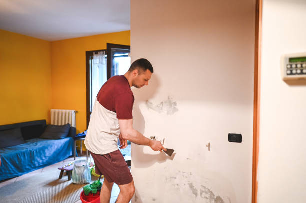 Best Attic Mold Removal  in Bohemia, NY
